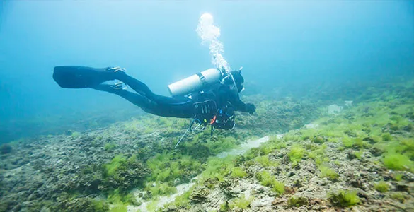 top--cruise-shore-excursions-worth-every-penny-cruise-mid-content-4